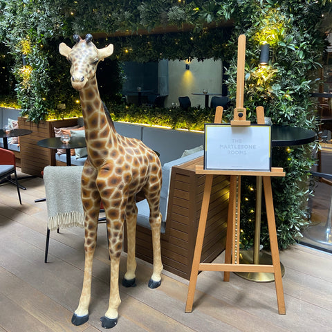 GISELLE THE GIRAFFE ANIMAL PROP HIRE - PLEASE EMAIL TO HIRE