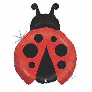 Ladybird Balloon